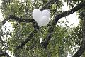 T-20150901-173340_IMG_1826-6 aa